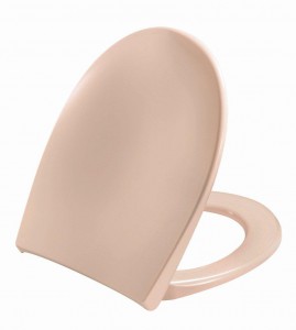 Toilettendeckel_bahambeige