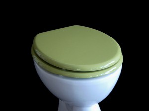 Toilettendeckel_mossgrün
