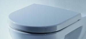 Toilettendeckel vom Herstller Laufen