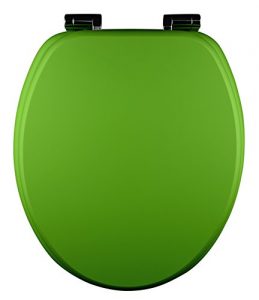 Giftgrüner Toilettendeckel