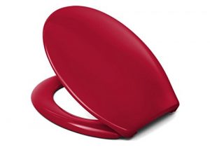 WC-Sitz rot