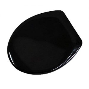 WC-Sitz in schwarz