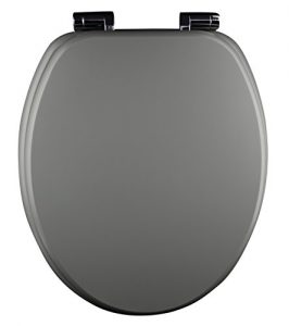 Toilettendeckel mit Absenkautomatik