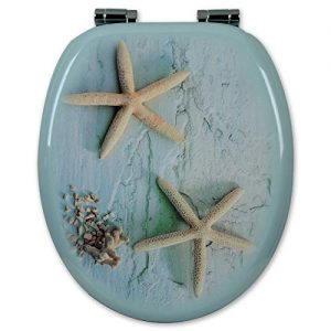 Toilettensitz Muscheln