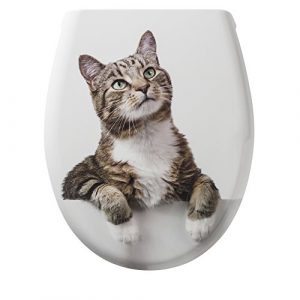 toilettensitz katze